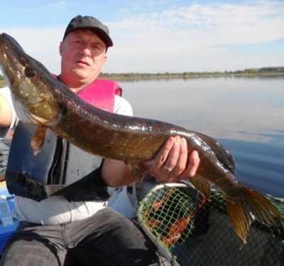 Angling Reports - 17 September 2014